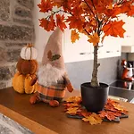 En Pierre Au Chant Des Roches