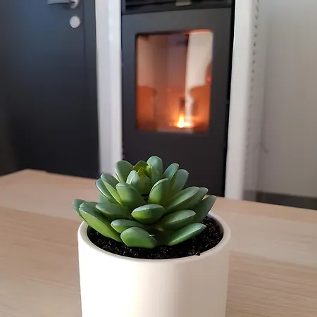 Hébergement de vacances Gîte de charme en pierre avec poêle à pellets Cerfontaine