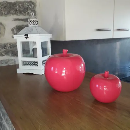 Tatil Evi Gite En Pierre Au Chant Des Roches Cerfontaine